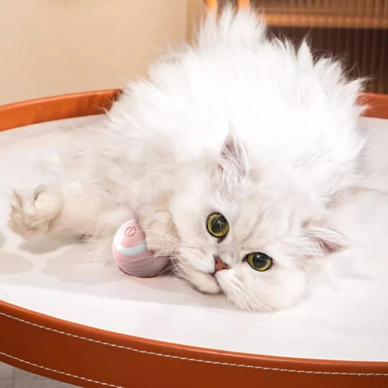 Pelota Inteligente para Gatos